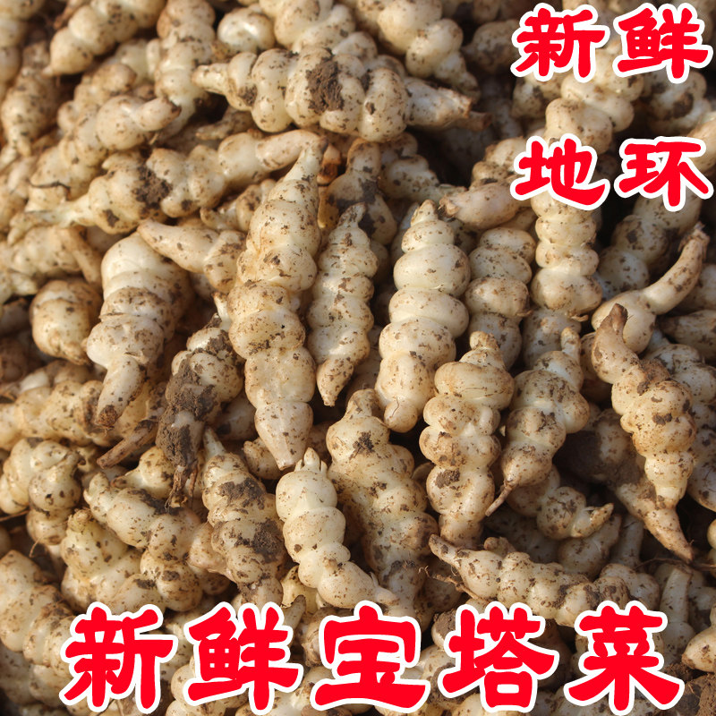 现挖宝塔菜新鲜螺丝菜地环玉环甘露生鲜地梨地牯牛葫芦地蚕藕蔬菜,水产肉类/新鲜蔬果/熟食,其它,淘宝优惠券,粉丝福利购,淘宝优惠卷