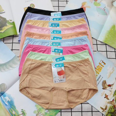 樱子内裤女6067中腰底裤提臀女士