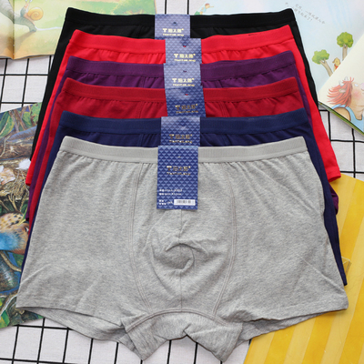 田太郎纯棉吸汗男士松紧带平角裤