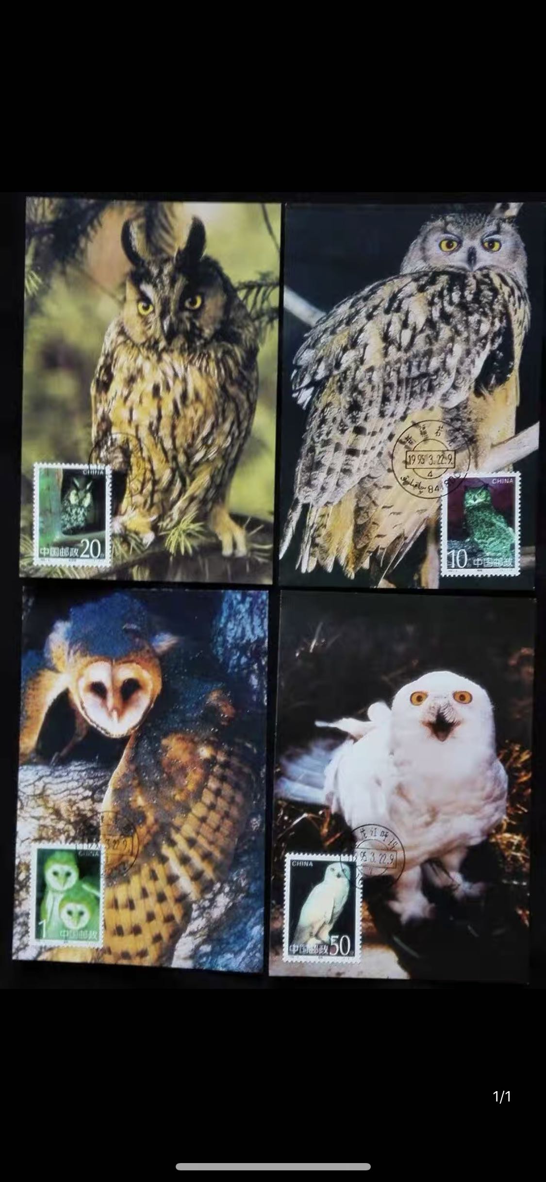 MC-20 鴞 特种邮票 1995-5 中国集邮总公司 极限明信片 一套4枚