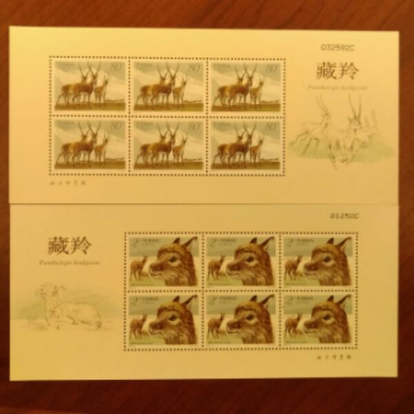 2003-12 藏羚羊全同号小版张 2全新 原胶全品  邮局正品 保真 节庆用品/礼品 文化创意邮册/出版物/徽章 原图主图