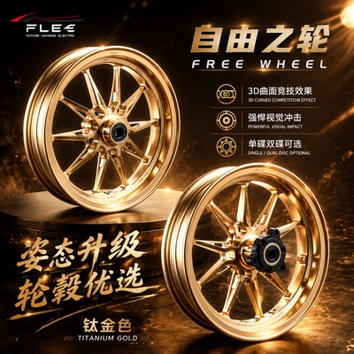 鹰速自由之轮12寸前轮毂九号机械师小牛NXT极核AE4/AE5电动车钢圈