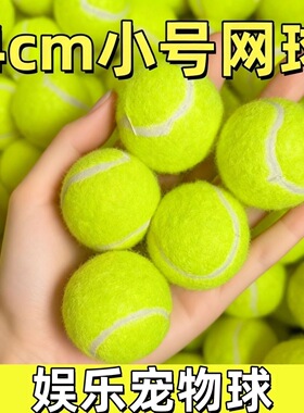 4cm/5cm小号网球狗狗玩具球宠物发球机用磨牙解闷训练宠物弹力球
