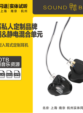 FitEar DC 静电动圈混合单元旗舰入耳式定制耳机  须山日本定制