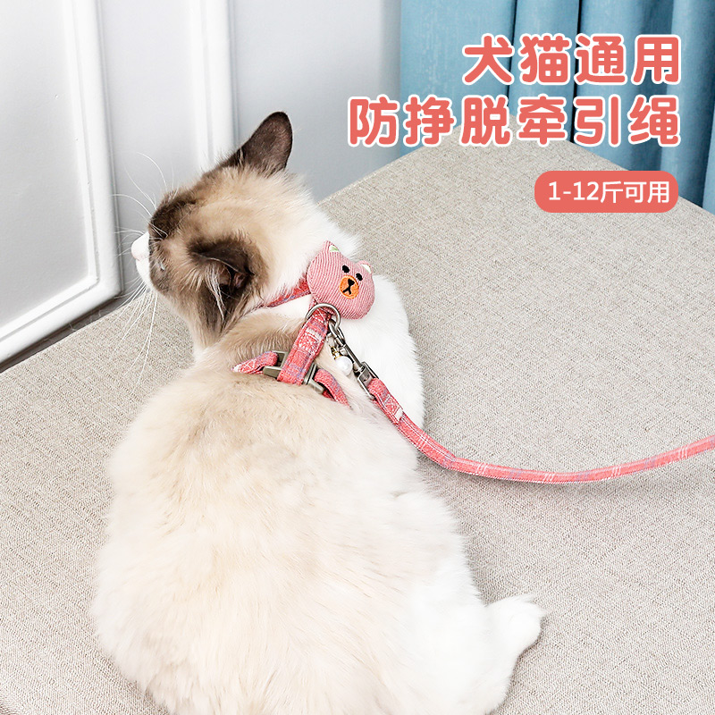 猫少爷 猫咪牵引绳纸卡胸背带防挣脱项圈遛猫绳泰迪比熊小型犬用