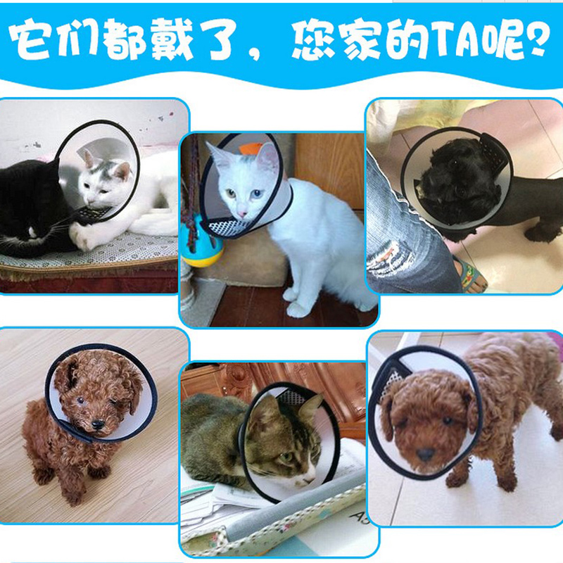 包郵伊麗莎白圈可調節 狗狗頭套貓美容寵物防咬防抓防舔貓咪脖套