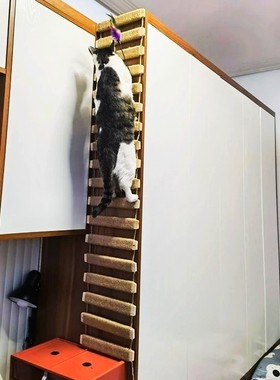猫爬架 蹬天梯 猫爬绳梯 桥梯两用可架空连接跳台 磨爪神器