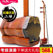 Mingsen mahogany erhu nhạc cụ mới bắt đầu chơi phân loại trẻ em người lớn phổ quát quốc gia nhà máy Huqin bán hàng trực tiếp - Nhạc cụ dân tộc