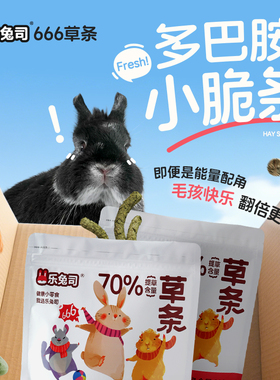 乐兔司提草草条 333g 兔子仓鼠龙猫荷兰猪通用健康磨牙营养小零食