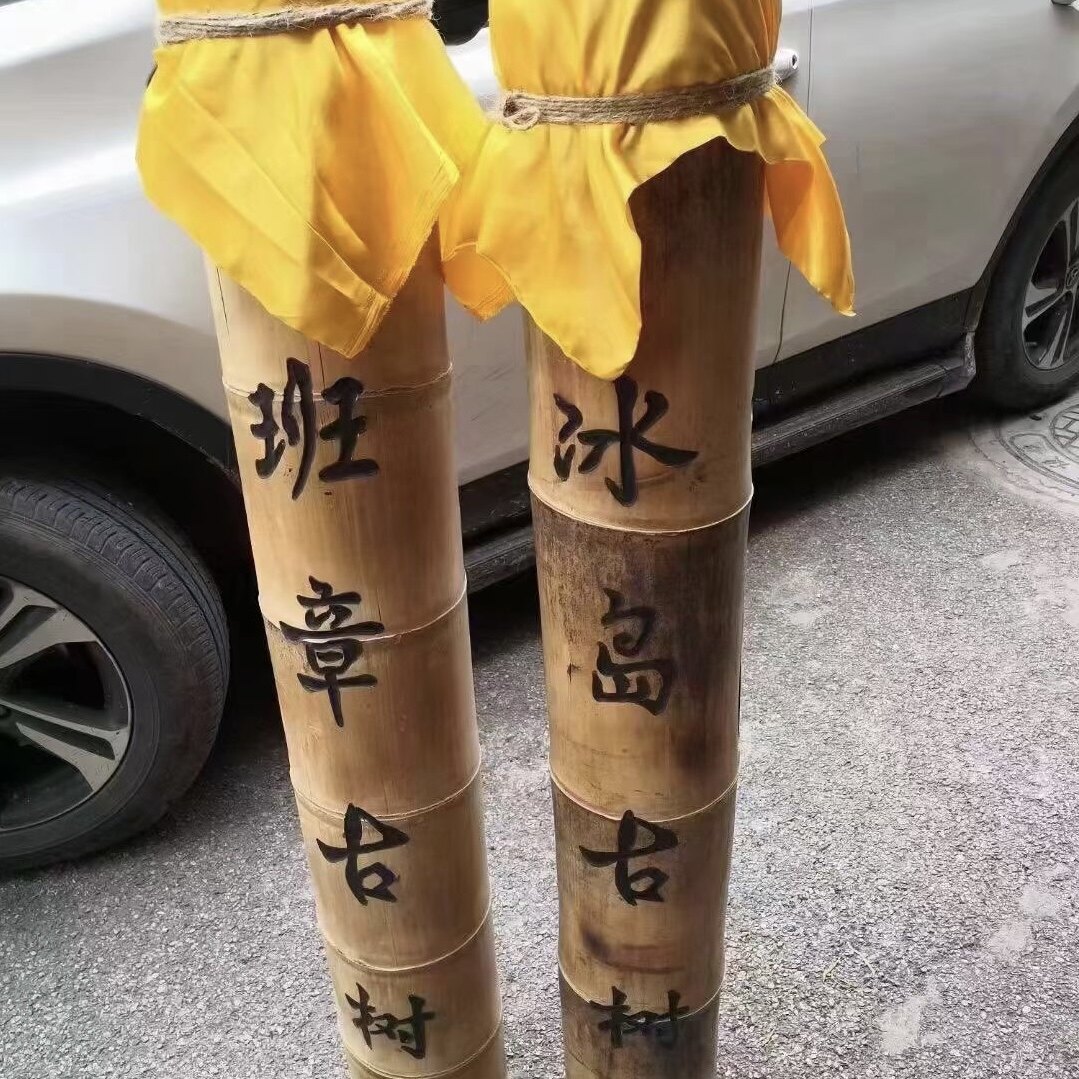 云南2023年 10公斤净重竹筒茶 高约120厘米 普洱茶生茶