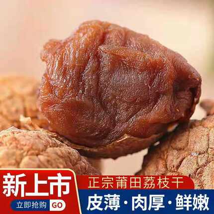 正福建莆田特产新货500g非无核荔枝干核小肉厚桂味荔枝肉泡茶包邮