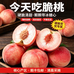 肥城桃桃子新鲜水蜜桃水果整箱应季软甜大桃佛桃当季现摘山东肥桃