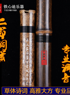 铁心迪专业演奏箫洞箫乐器二节紫竹萧/G调F调8孔6孔箫成人初学萧