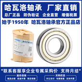 6207RZZ 6201 正品 哈瓦洛轴承原装 6204 6200 6203 6206 6202 6205