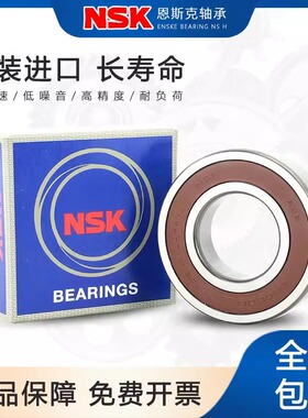 NSK日本进口轴承6008 6009 6010 6011 6012 6013 6014 6015DDU ZZ