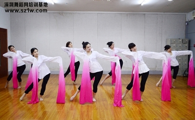 水袖古典舞漢唐舞蹈水袖采薇舞水袖采薇水袖練功服漸變連體水袖女