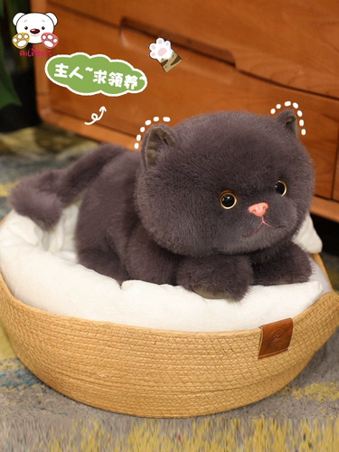 Милая реалистичная плюшевая детская успокаивающая игрушка, кукла для сна, подушка, котенок, подарок на день рождения, кот