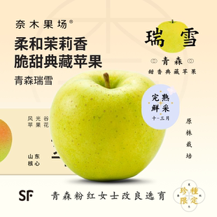 奈木果场青森瑞雪苹果特级精选鲜采胶东花香脆甜鲜果顺丰sf礼盒装