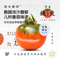 奈木果场铁皮草莓番茄柿子 浓郁酸甜脆日引丹东绿肩温室现摘礼盒