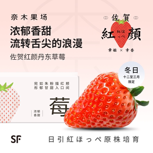 奈木果场丹东九九草莓日本特大红颜孕妇现摘奶油浓郁香甜顺丰礼盒