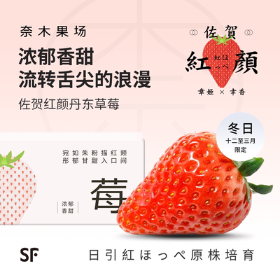 丹东99草莓特大红颜浓郁香甜礼盒