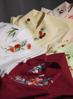 小物件单衣 清水溪 春秋原创汉服打底中衣百搭刺绣上衣白色中国风