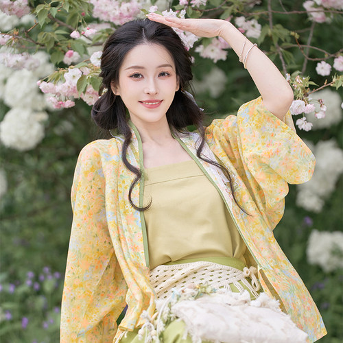 薄暮森林 清水溪汉初多巴胺夏季明制汉服天丝对交穿半袖日常百搭