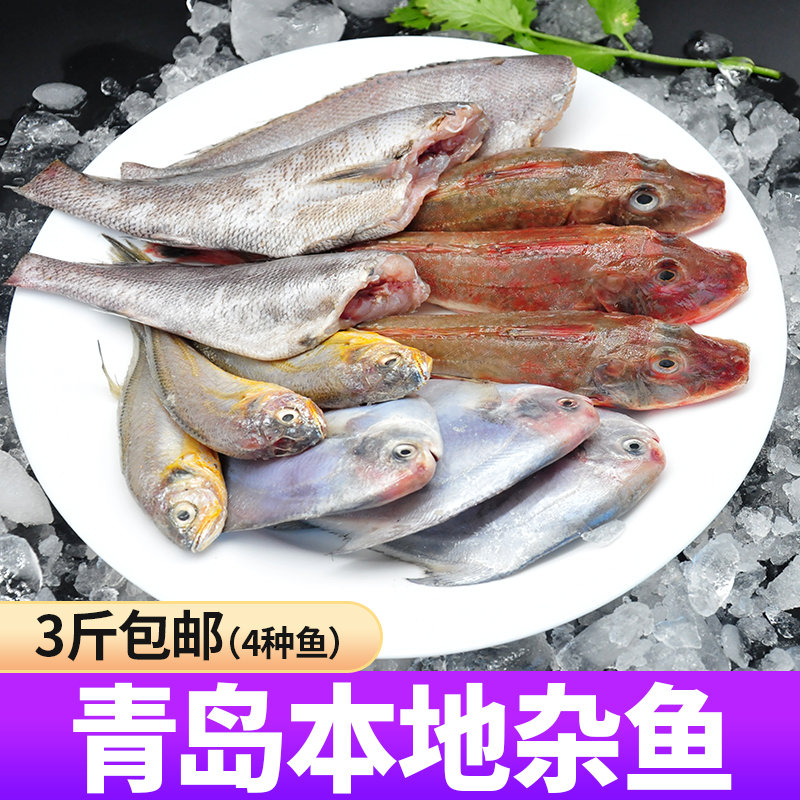 青岛海杂鱼新鲜冷冻海鲜鱼类深海鱼少刺3斤装鲳鱼小黄鱼红娘鱼