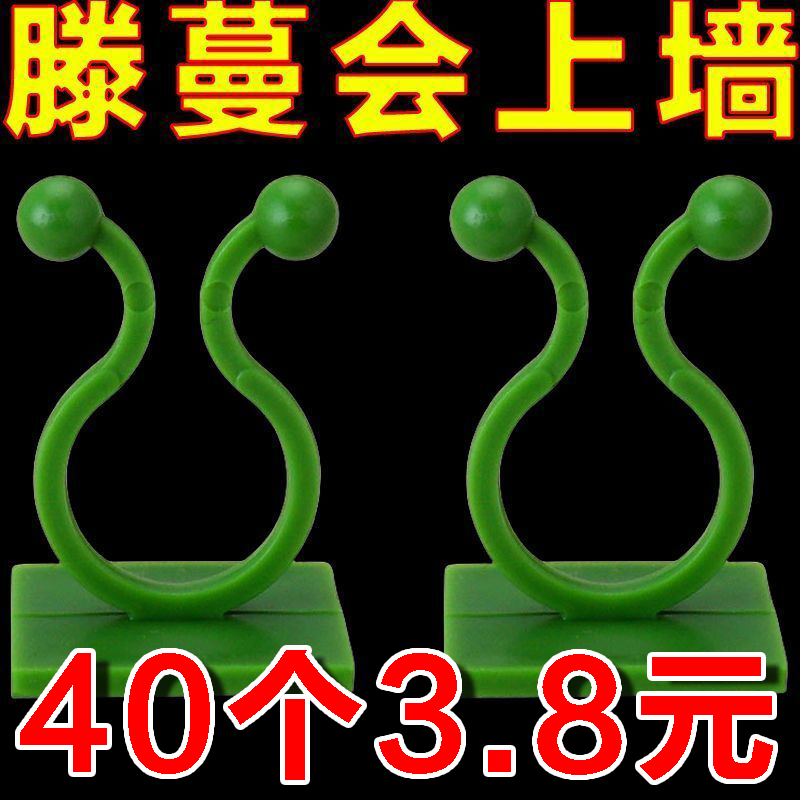 绿萝无痕爬墙固定器家用