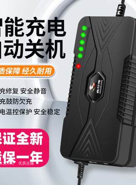 适用搏技博技蒙阳明鑫金城电动三轮车充电器48v12a60v20ah72v通用