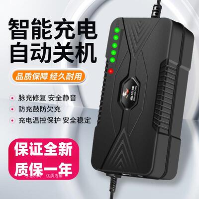 适用搏技博技蒙阳明鑫金城电动三轮车充电器48v12a60v20ah72v通用