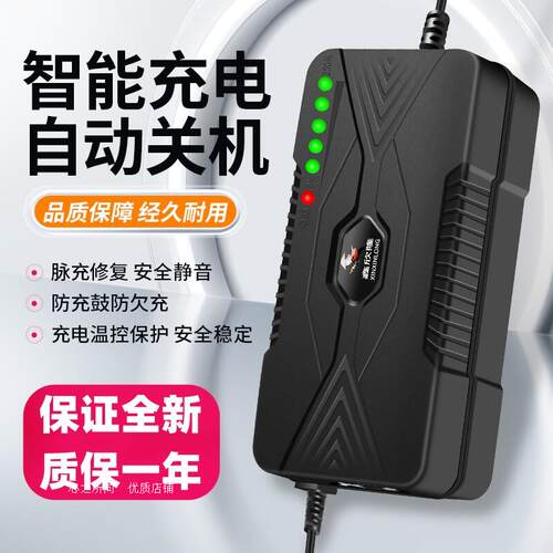 适用搏技博技蒙阳明鑫金城电动三轮车充电器48v12a60v20ah72v通用