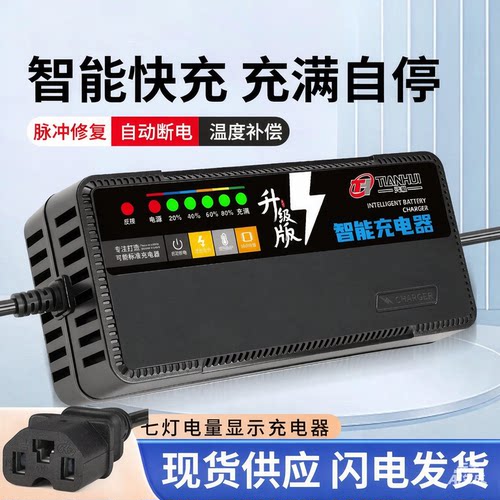 适用搏技博技蒙阳明鑫金城电动三轮车充电器48v30a60v20ah72v通用