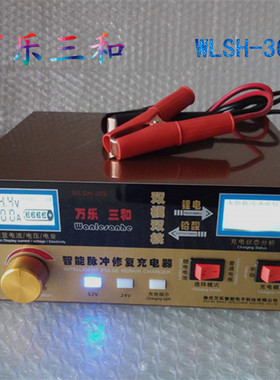 万乐12V24V汽车充电器monfara大功率锂电瓶充电器智能纯铜芯电机