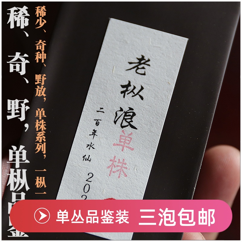 工夫器凤凰单丛茶茶农直销