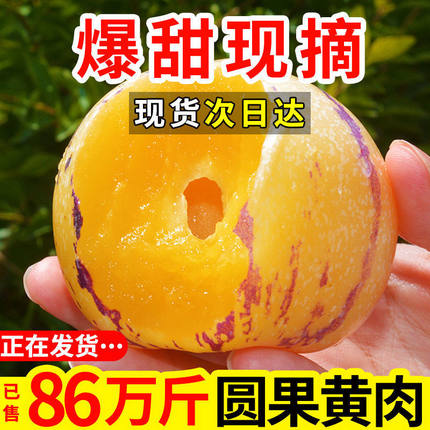 云南石林人参果圆果新鲜孕妇黄肉树熟低糖水果人生果整箱5斤高原