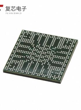 DM8107AAAR21全新IC DGTL MEDIA PROCESSOR 609FCB