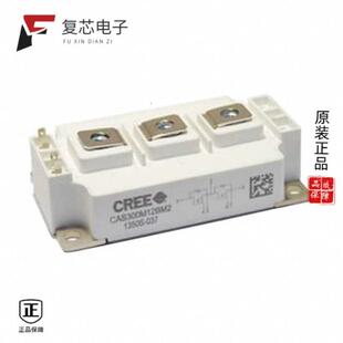 CAS300M12BM2全新MOSFET 404A 1200V 原厂正品