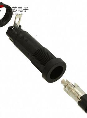 原厂正品03455LS1H全新FUSE HLDR CART 250V 10A PNL M