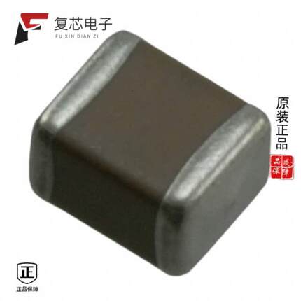 原厂正品202S41W222KV4E全新2.2nF ±10% 2kV