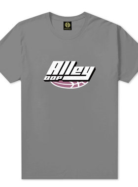 斗者SD篮球棒球运动短袖T恤短袖街头街球圆领定制diy班服Alleyoop
