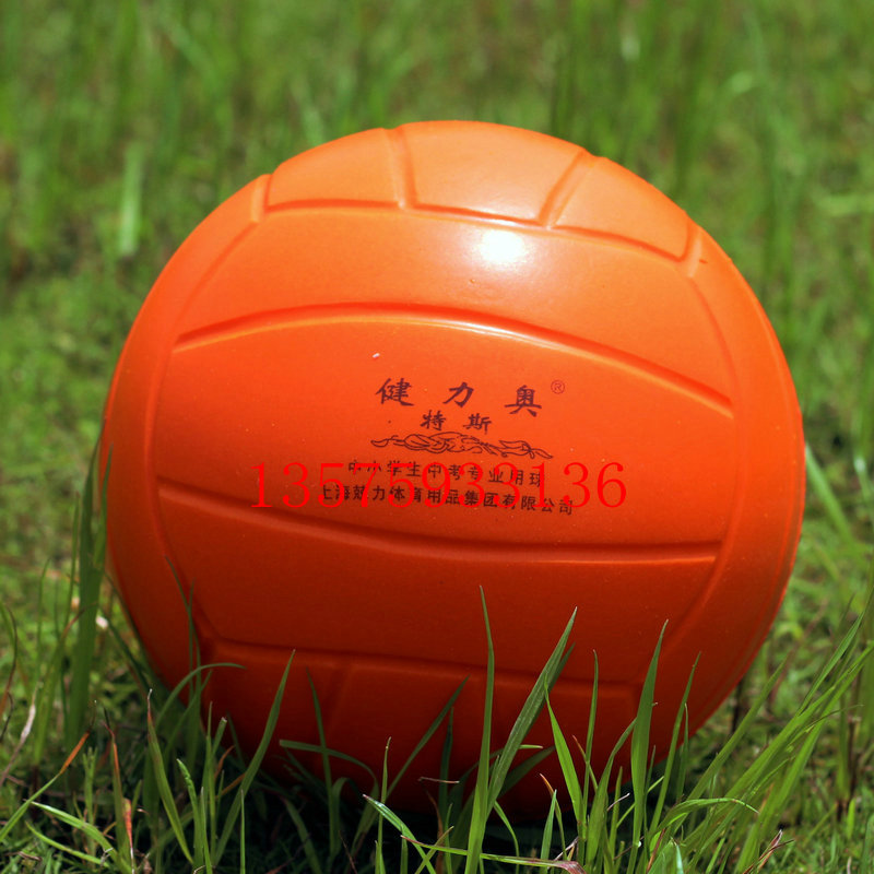 Ballon de volley - Ref 2010763 Image 1
