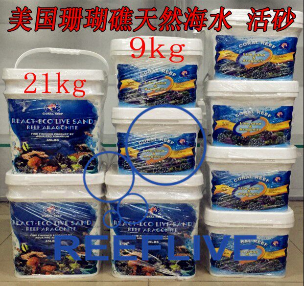 珊瑚礁海水鱼缸造景活沙