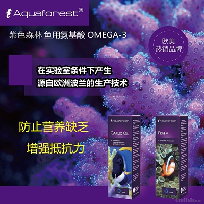紫色森林海水强抵抗力珊瑚粮
