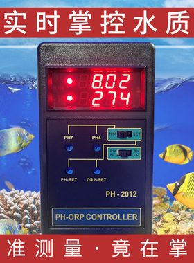 BDS水质pH控制器在线PH控制表检测仪ORP电极钙反控制送探头