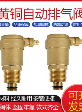 黄铜排气阀自动放气阀暖气水空调地暖分水器专用全铜储水罐排空气
