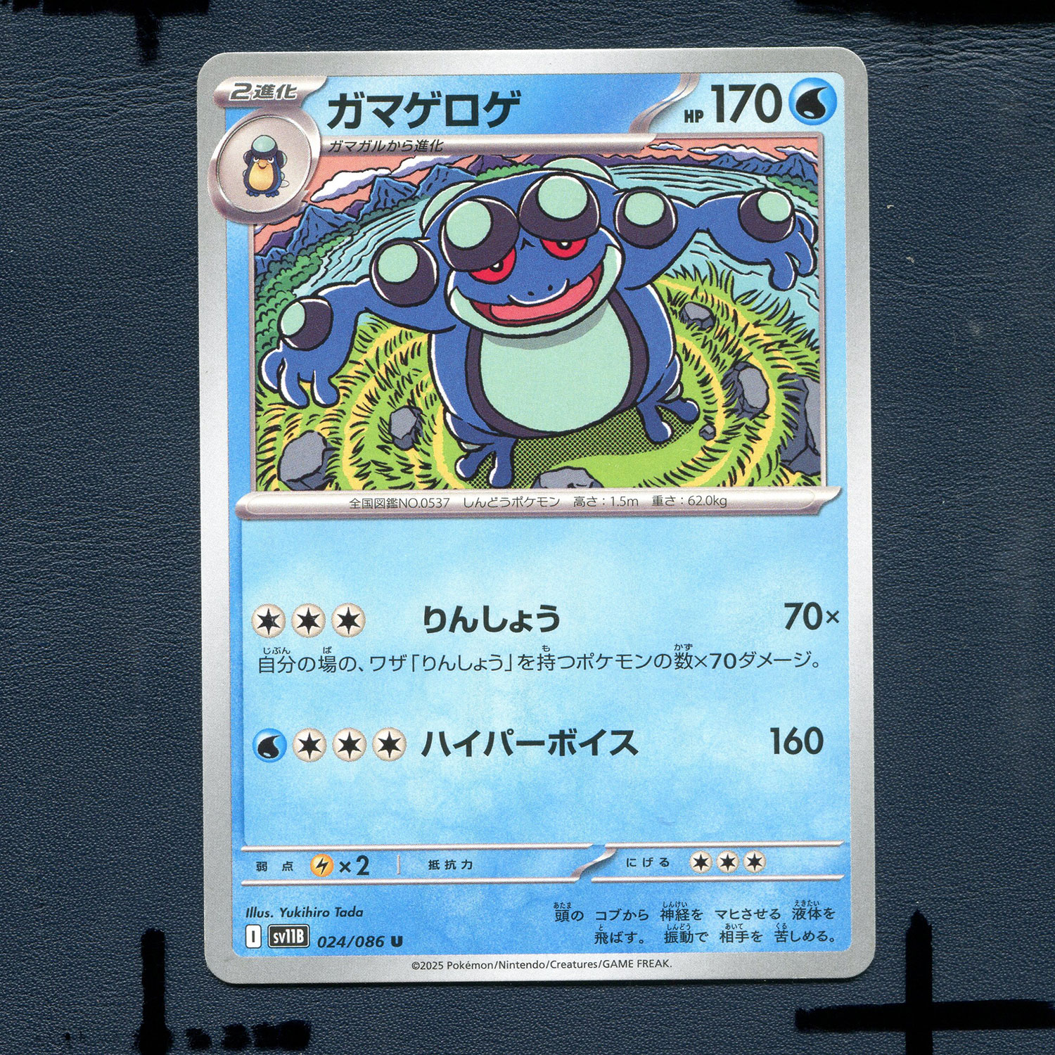 宝可梦PTCG正版卡牌 漆黑伏特 蟾蜍王 SV11B-024 日版