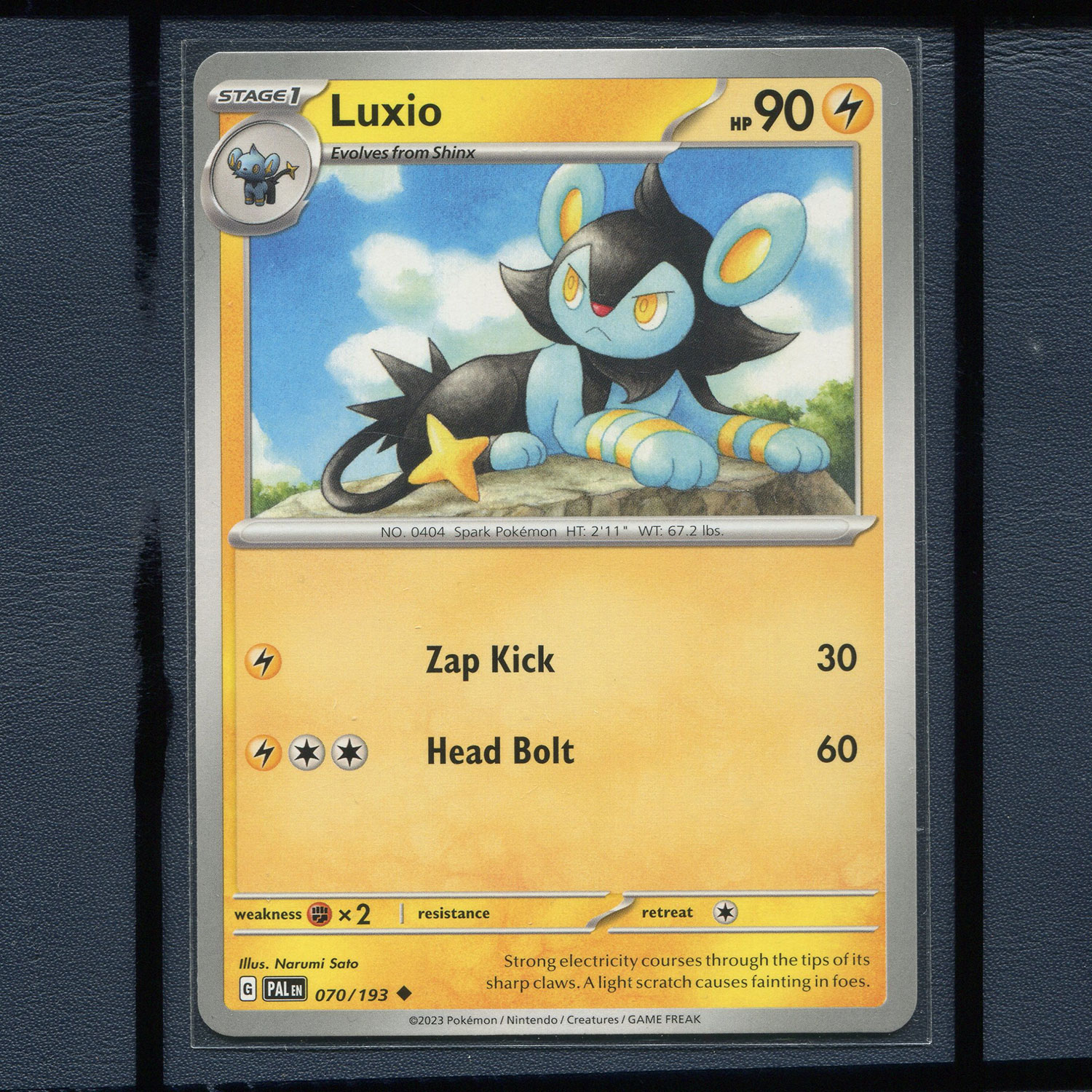 宝可梦美版英文版国际版 帕底亚进化 勤克猫 PAL-070