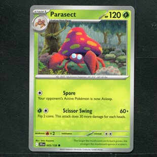 宝可梦 TCG 正版卡牌 英文版 同行之旅 派拉斯特 JTG-005 美版