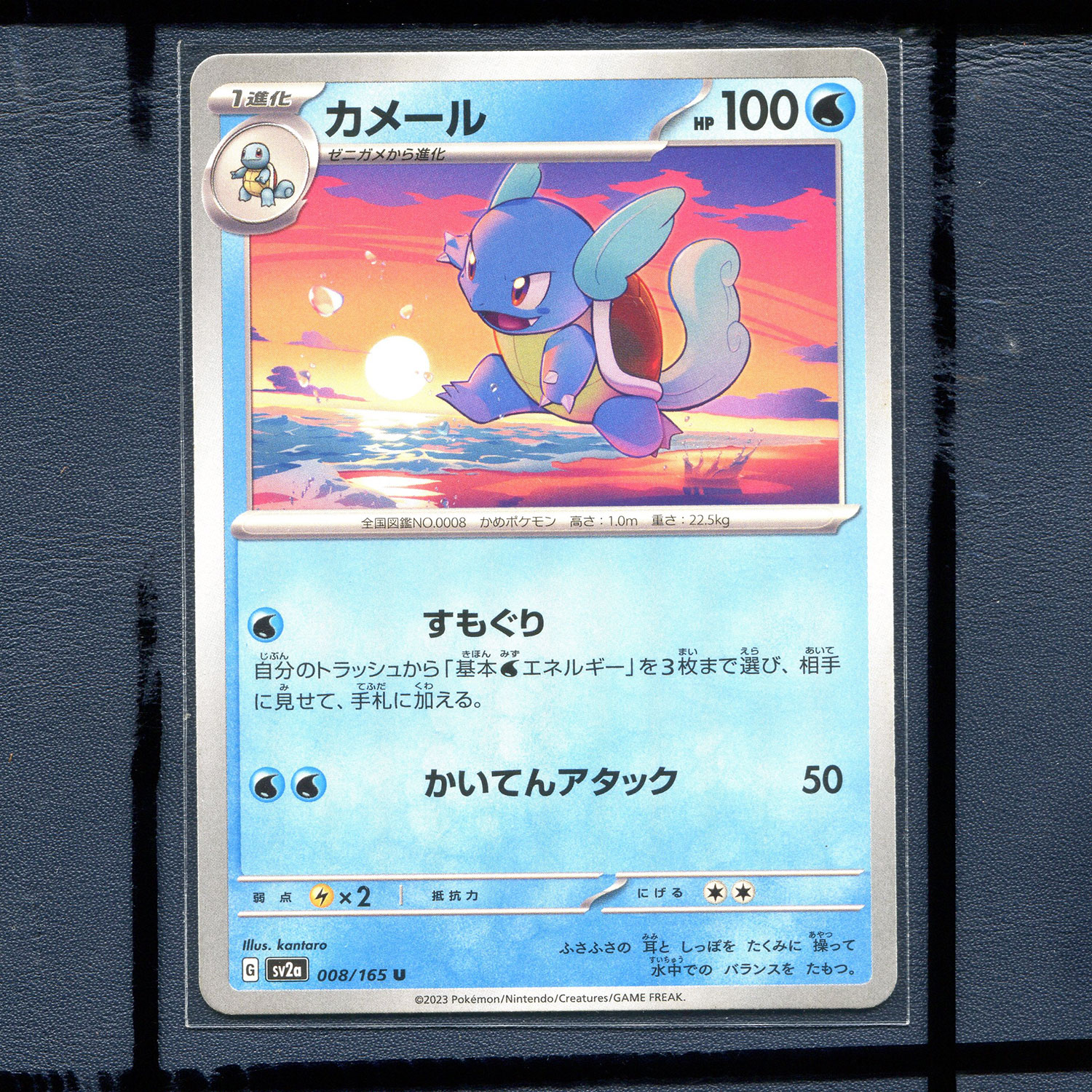 宝可梦PTCG 集换式正版卡牌朱紫151 卡咪龟 SV2A-008 日版